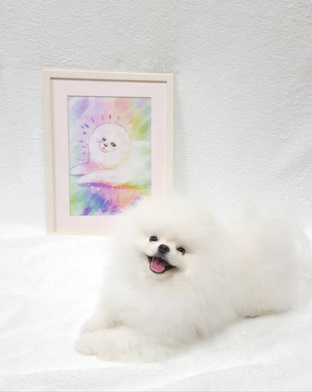 【世界唯一！？】 あなたの大切な思い出を〝生きているメモリアル・アートに〟